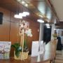 Hotel Scoica