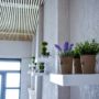 Hotel Sirena - Complex Fortuna
