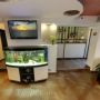 Hotel Solymar 1