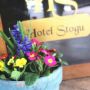 Hotel Stogu