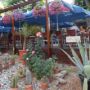 Hotel Sunquest