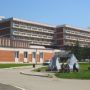 Hotel Timis