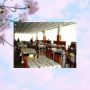 Hotel Timis