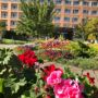 Hotel Tomis