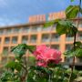 Hotel Tomis