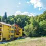 Hotel Trei Brazi
