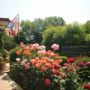 Hotel Valul Magic