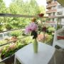 Hotel Valul Magic
