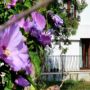 Hotel Violeta