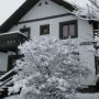La Roata - Casa Olga