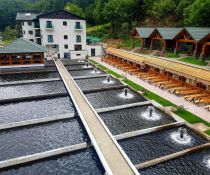 Lostrita  Pastravarie Hotel & Spa