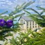 Montis Hotel & Spa