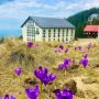 Montis Hotel & Spa