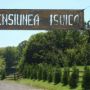 Pensiunea Isuica