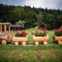 Pensiunea La Conac in Bucovina