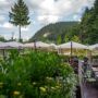 Piatra Pinului Ski & Spa