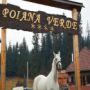 Poiana Verde