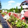 Q Resort & Spa si Q Chalet