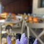 Suru Hotel & Restaurant