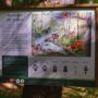 Tiny Transilvania