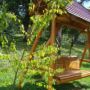 Vila Carpathia