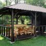 Vila Carpathia