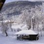 Vila Carpathia