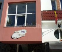 Vila Liliacul
