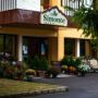 Vila Simonte