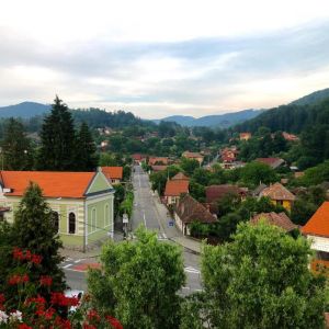 Vila Ursul Negru